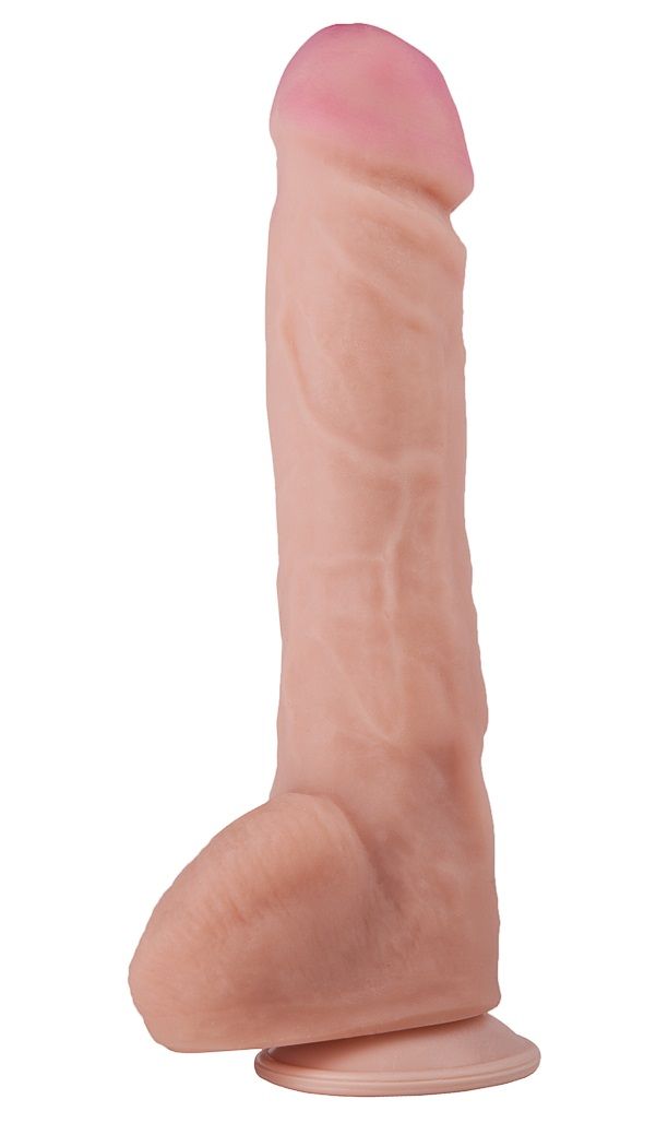 49631.jpg