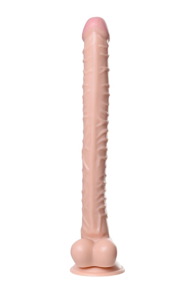 58288-1.jpg