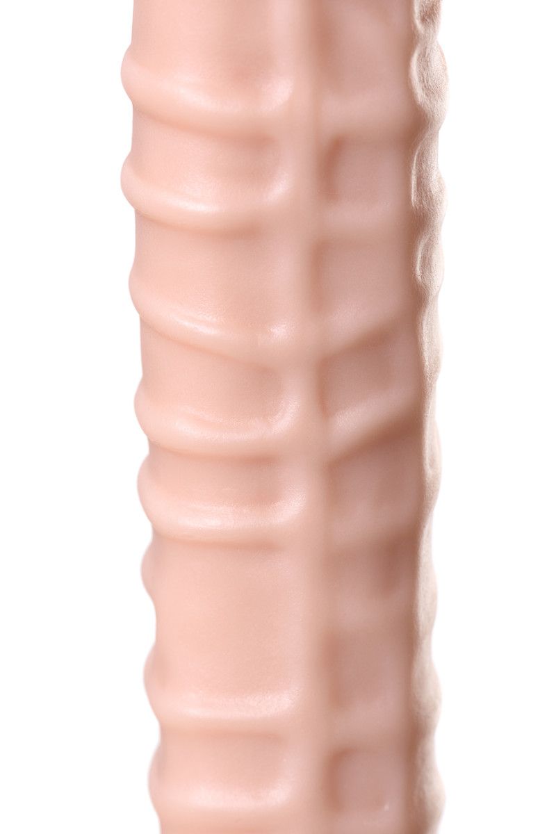 58288-5.jpg