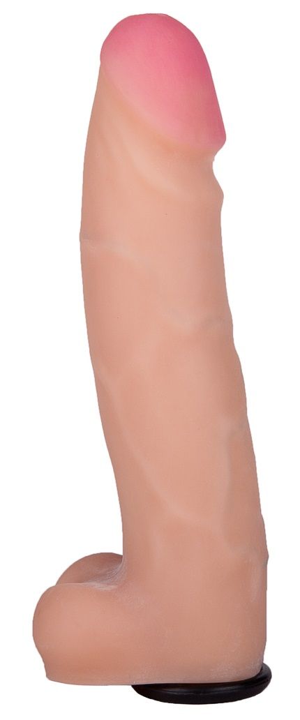 86536.jpg